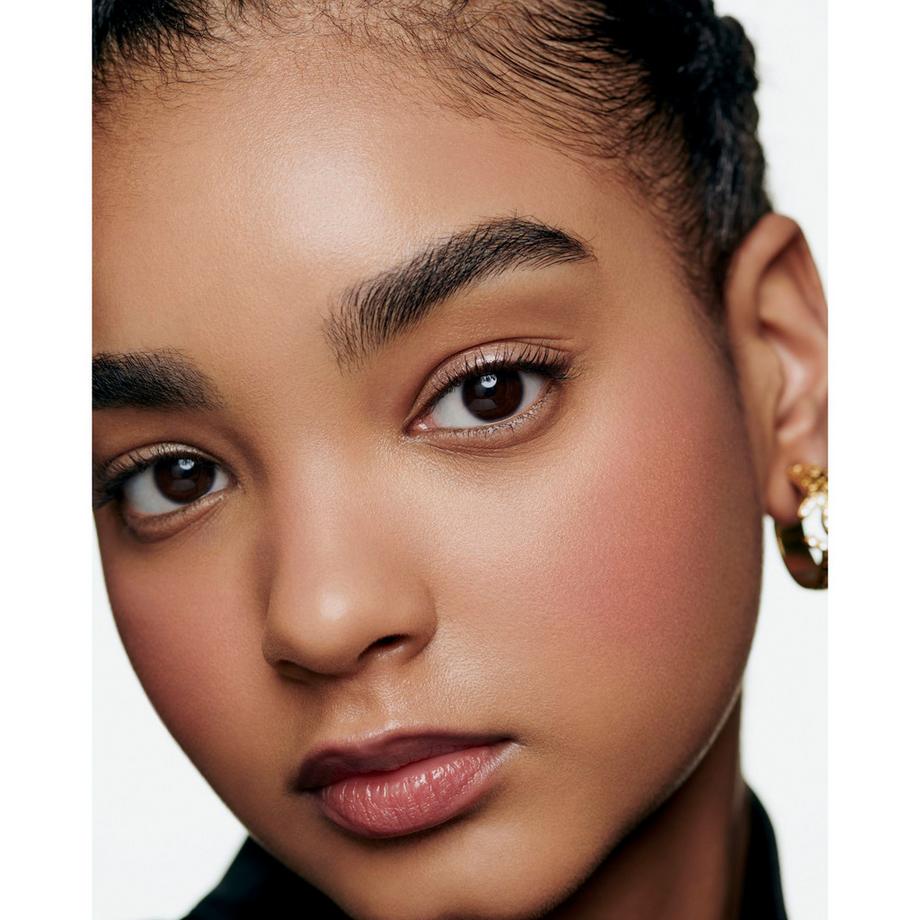 CHANEL JOUES CONTRASTE FARD IN POLVERE 