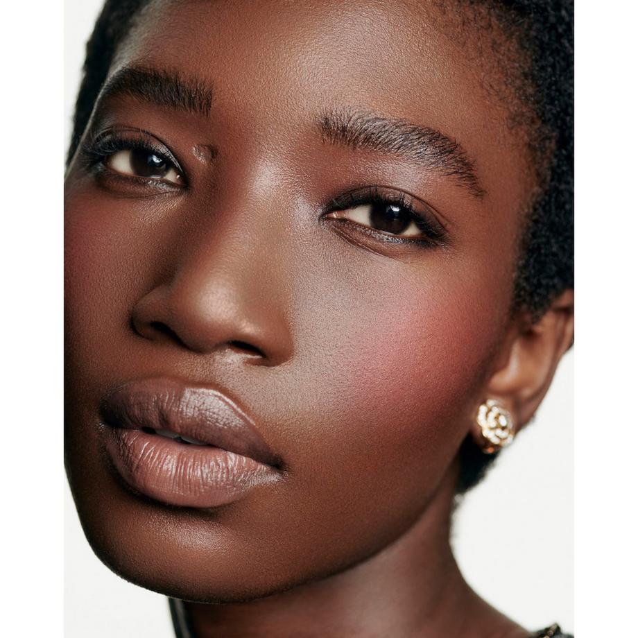 CHANEL JOUES CONTRASTE FARD IN POLVERE 