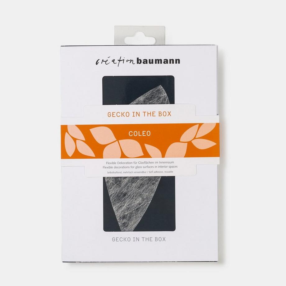 Creation Baumann Coleo Fensterdekoration Gecko in the Box 