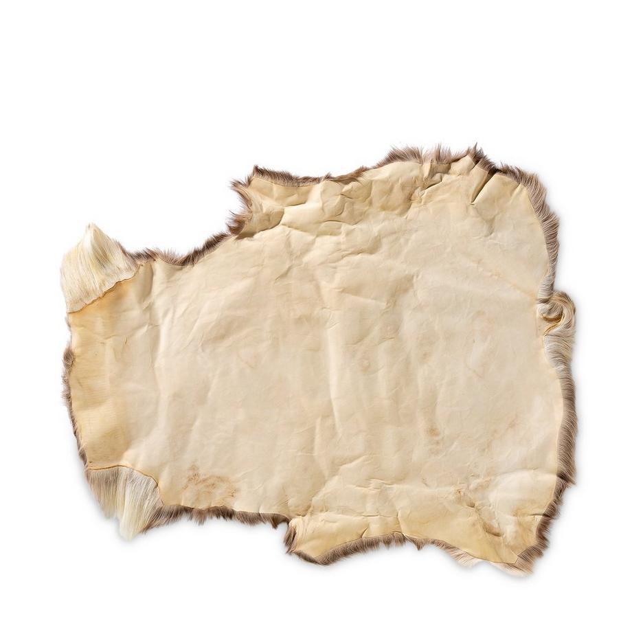 Warm & Comfy  Peau de renne 