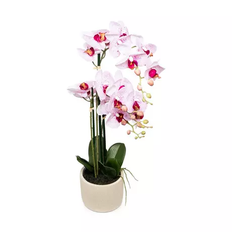 Manor Kunstblume Orchidee 