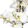 Manor Fleur artificielle Orchidee 