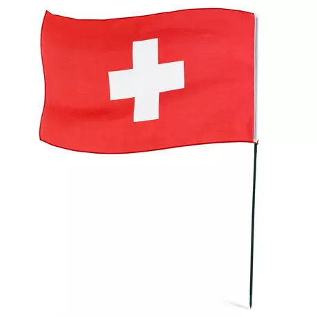 Suisse Canton train Bannière Suisse drapeaux drapeaux 30x30cm 
