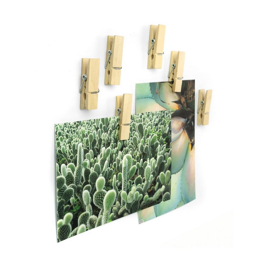 trendform Set d´aimants Woody 