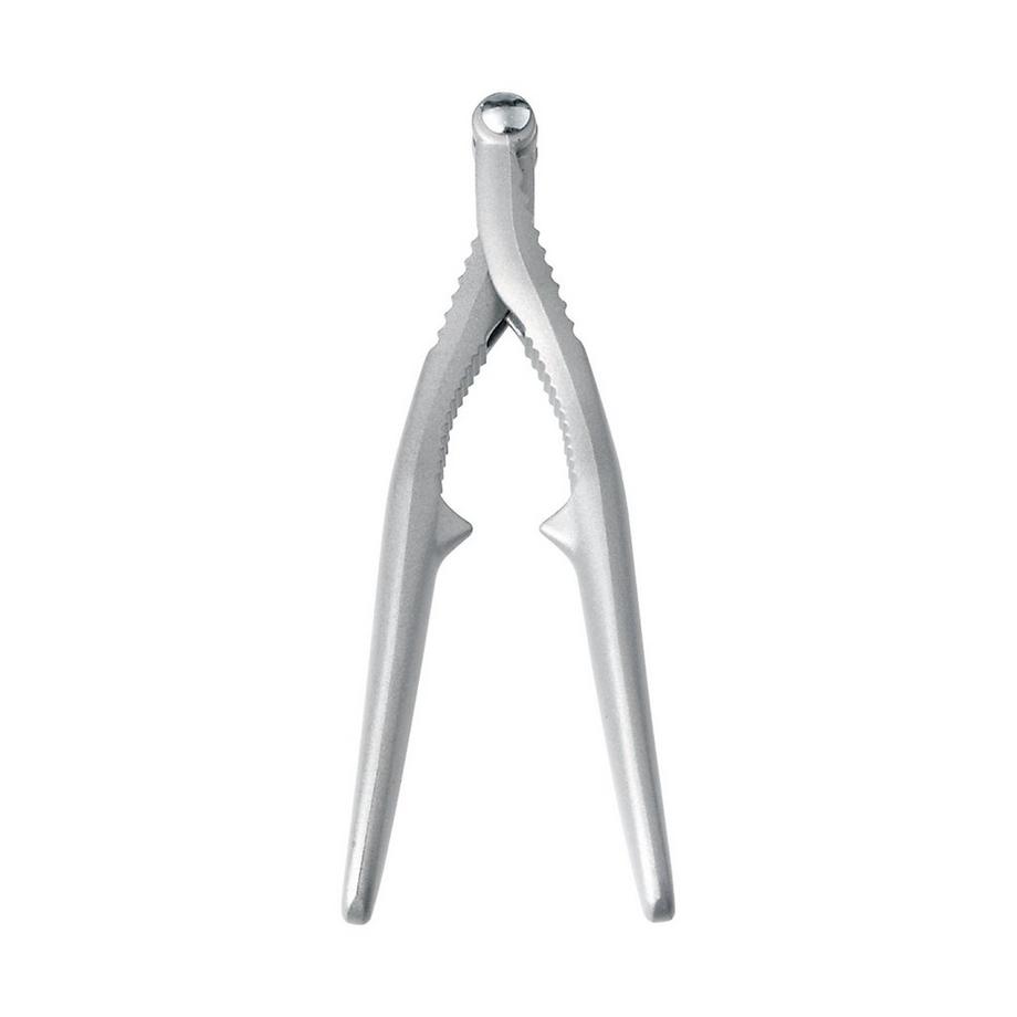 NUSS/MEERFRUCHTKNACK