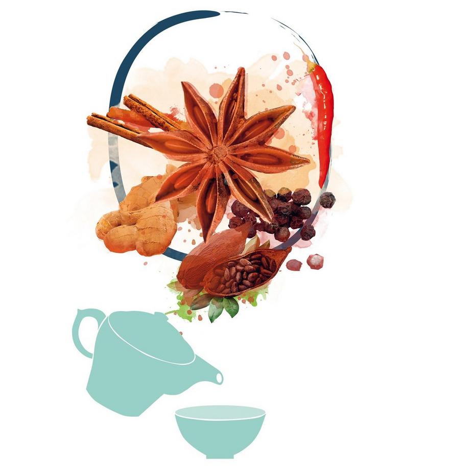 shuyao 5x2 Gewürz Teeset 