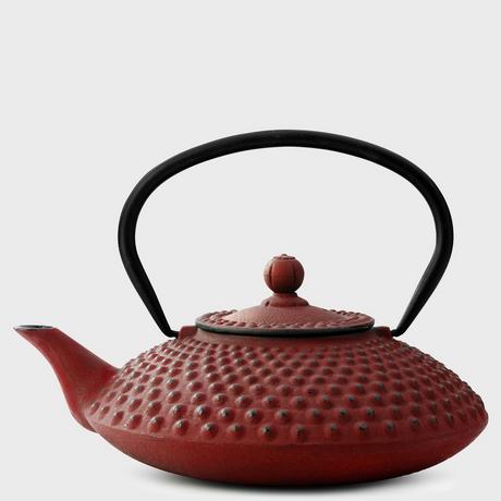 Bredemeijer Teebereiter Xilin 