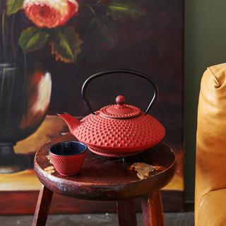 Bredemeijer Teebereiter Xilin 