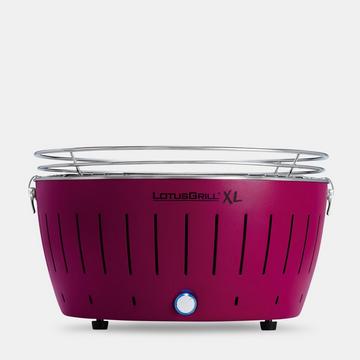 Kohlegrill