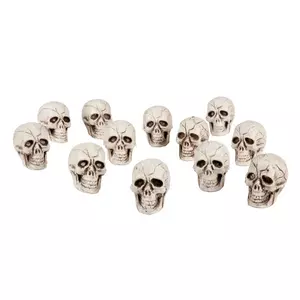 12 Crânes