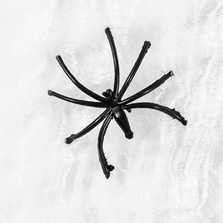 BOLAND HW Spinnwebe Fil araignée 500gr. + 25 araignées 