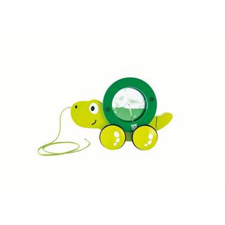Hape  Tito la tortue 