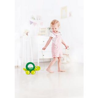 Hape  Tito la tortue 