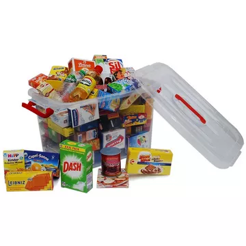 Grosse Box mit Miniaturfaltschachteln