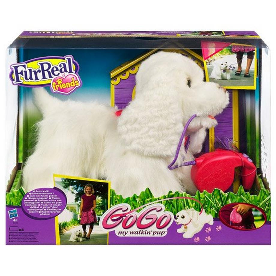   GoGo, der laufende Hund 