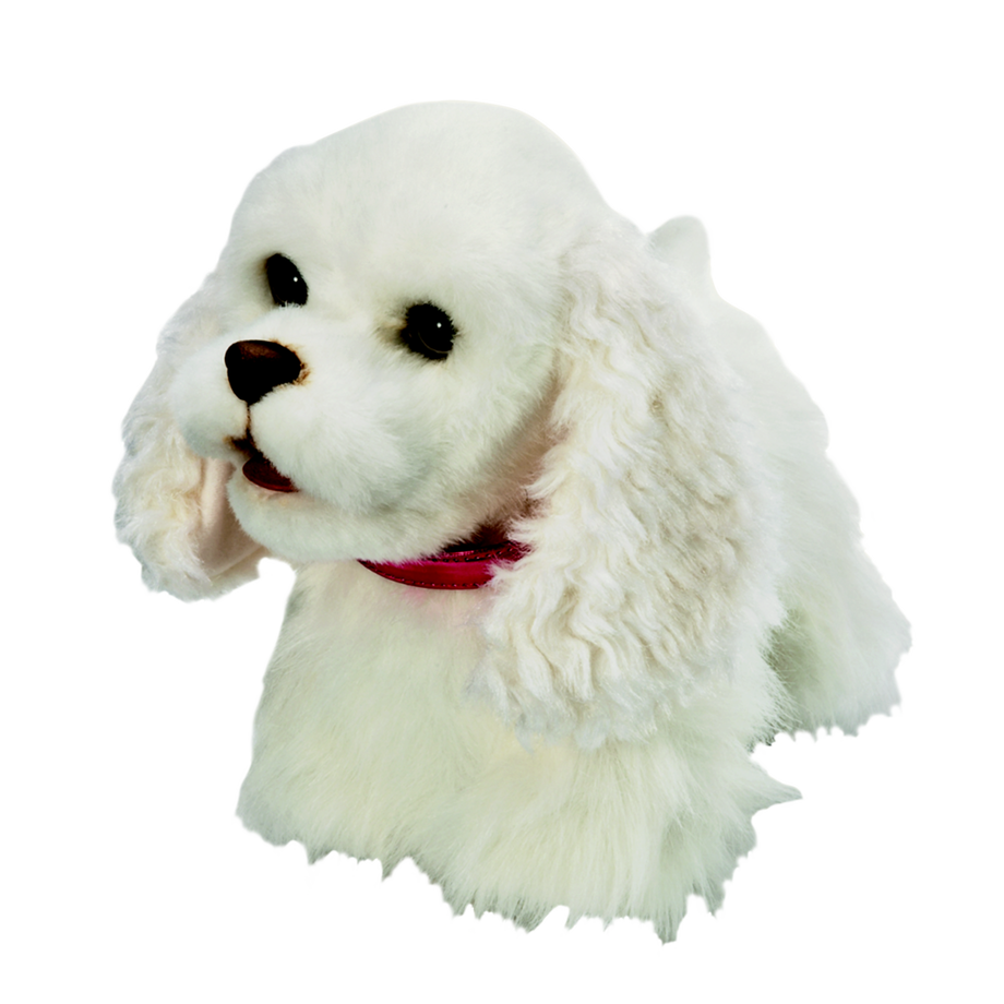   GoGo, der laufende Hund 