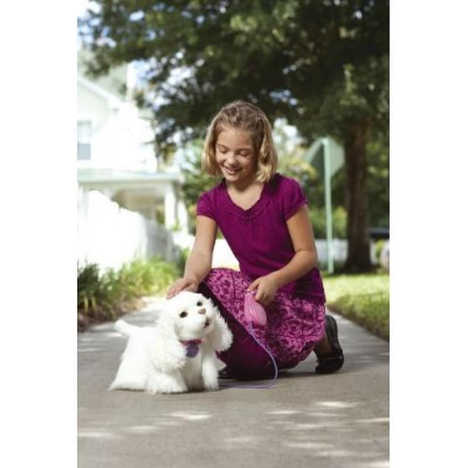   GoGo, der laufende Hund 