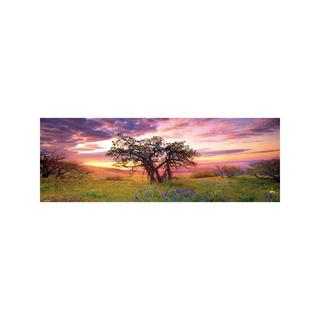 Heye  Oak Tree Panorama 2000 pezzi 