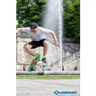 SCHILDKRÖT FUNSPORTS  Skateboard Slider 31" Monsters Multicolor