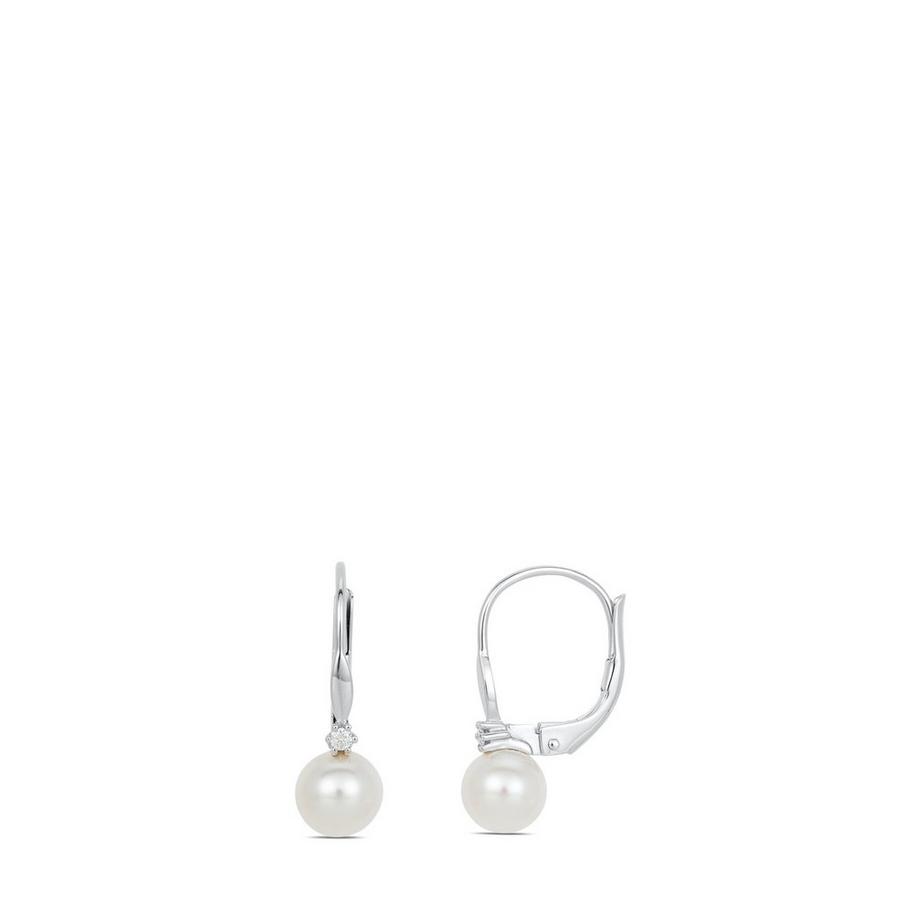 Puro  Boucles d'oreilles 