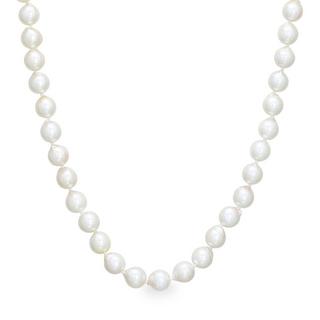 Puro  Set Collier/Armkette/Ohrstecker 