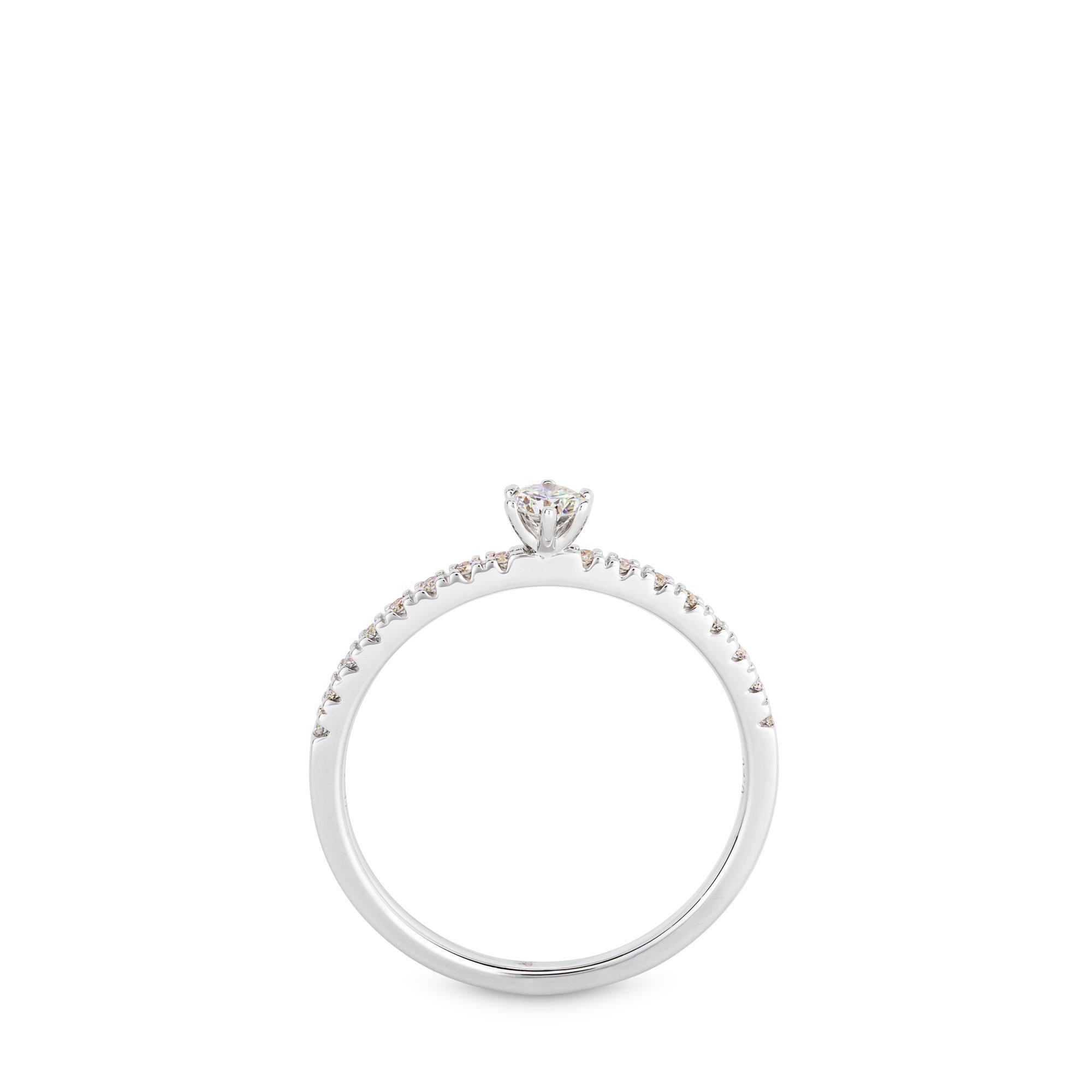 Sergio Ferris  Anello 