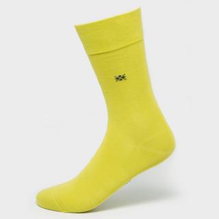 Burlington Dublin Gambaletti  