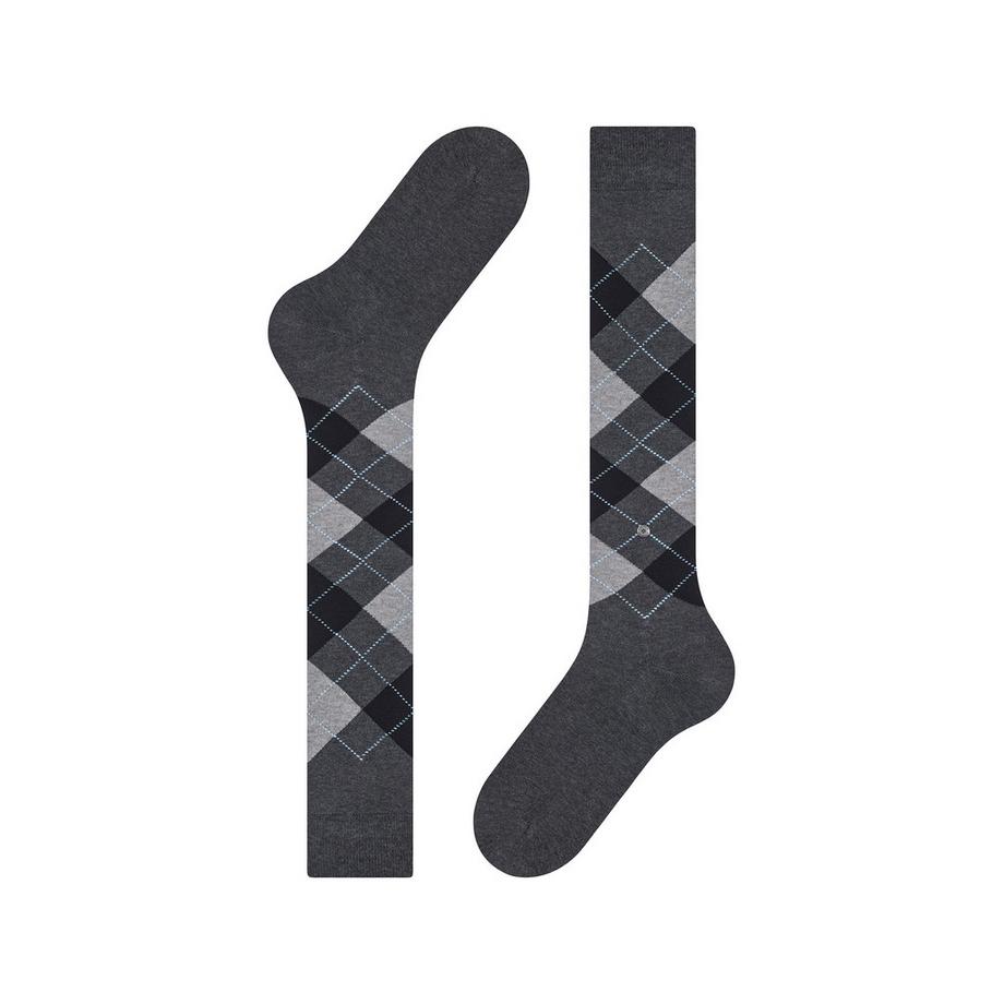 Burlington Manchester Argyle Gambaletti  