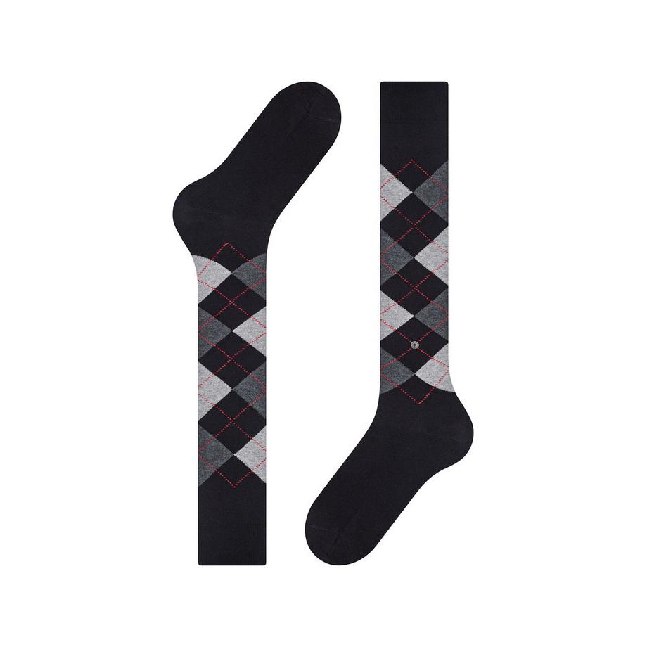 Burlington Manchester Argyle Gambaletti  