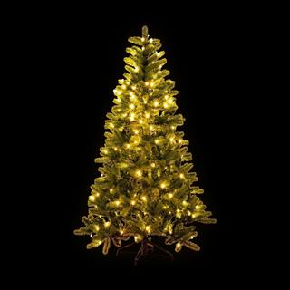 Manor Schwarzwald Albero di Natale con luci LED 