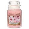 YANKEE CANDLE Bougie parfumée Cherry Blossom, Jar Candles 