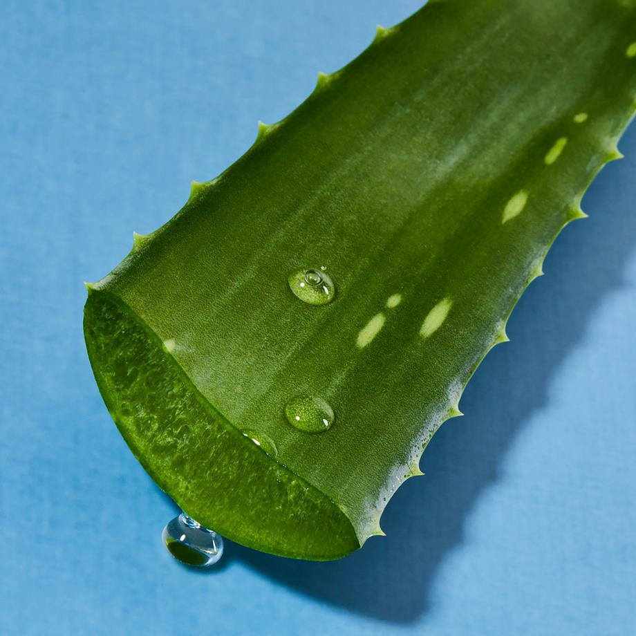 NIVEA  Douche Soin - Creme Aloe 