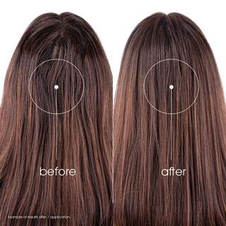 KLORANE Ortica Shampoo secco colorato sebo-regolatore 