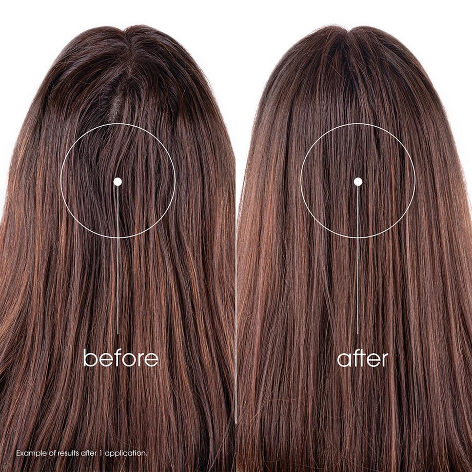 KLORANE Brennnessel Talgregulierendes getöntes Trockenshampoo 