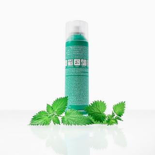 KLORANE Ortica Shampoo secco colorato sebo-regolatore 