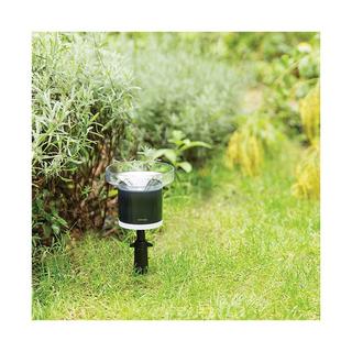 NETATMO  Pluviometro Intelligente 