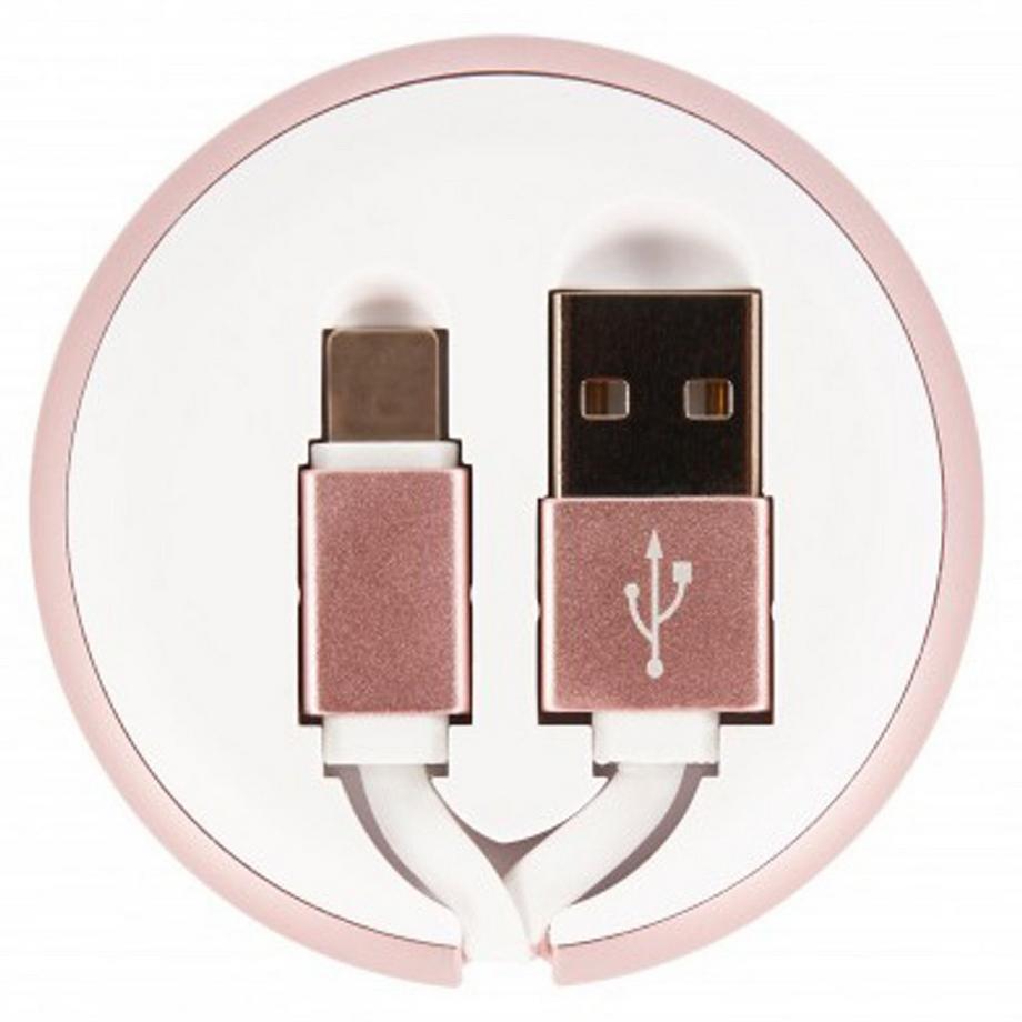 RICHMOND & FINCH Ausziehbar Lightning 0.90m Adapterkabel 