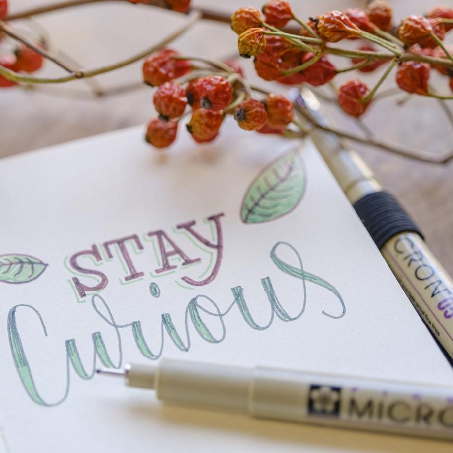 Talens Set di penne in feltro Pigma 