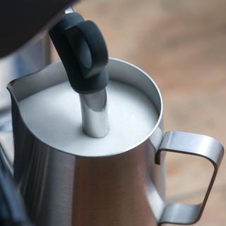 Sage STAINLESS 45x37x41CM The Oracle Touch 