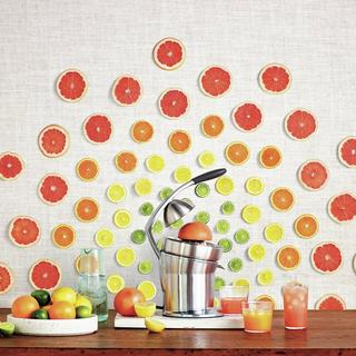 Sage Zitruspresse The Citrus Press Pro 