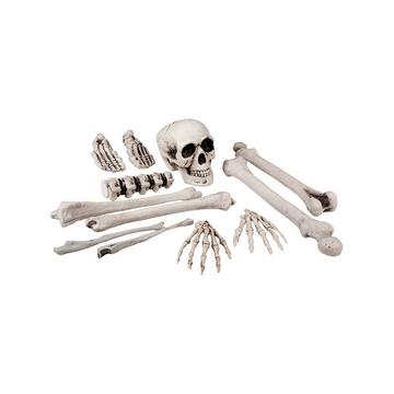 Knochen und Totenkopf
