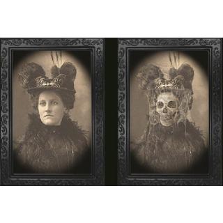 Zoelibat  Effektbild 3D 