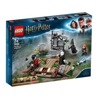 LEGO®  75965 La Résurrection de Voldemort™ 