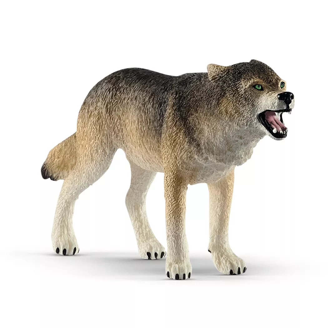 Schleich Plastic Wild Life Wolf Toy Multi Color - Pack of 5