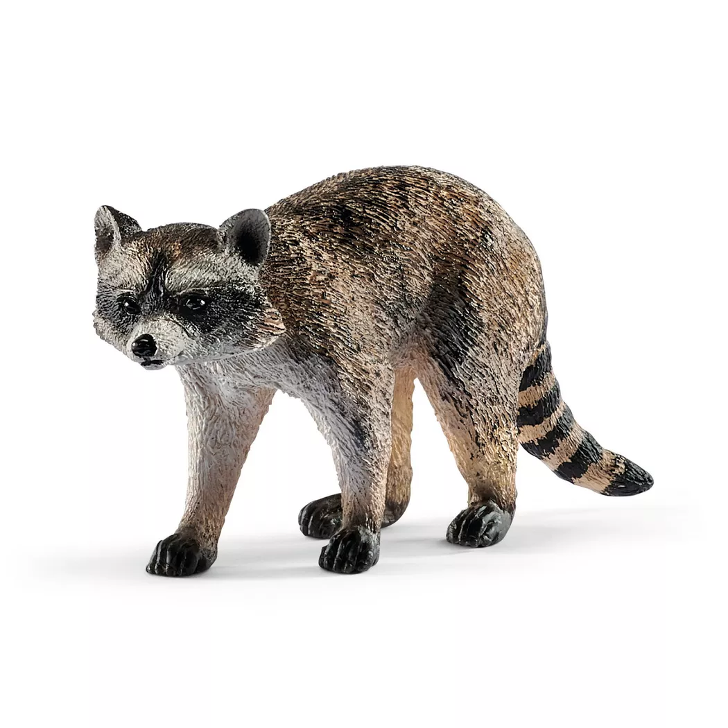 Schleich - 14828 Waschbär, Multicolor