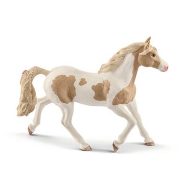 13884 Jument Paint Horse