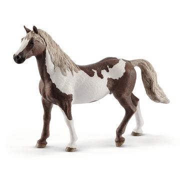 13885 Castrato Paint Horse