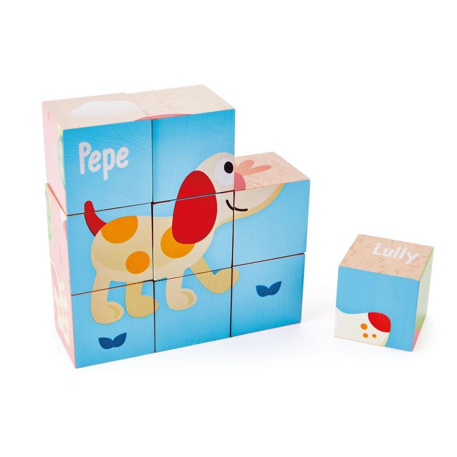 Hape  Cubes Puppy et ses amis 