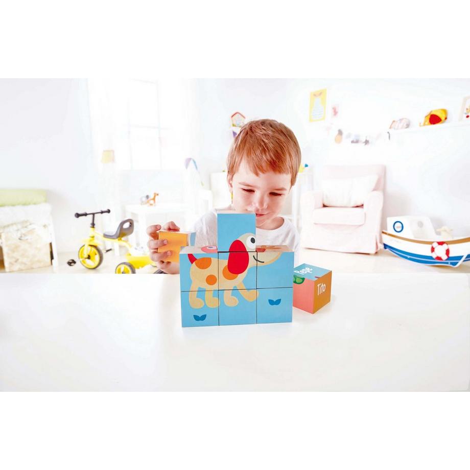 Hape  Cubes Puppy et ses amis 