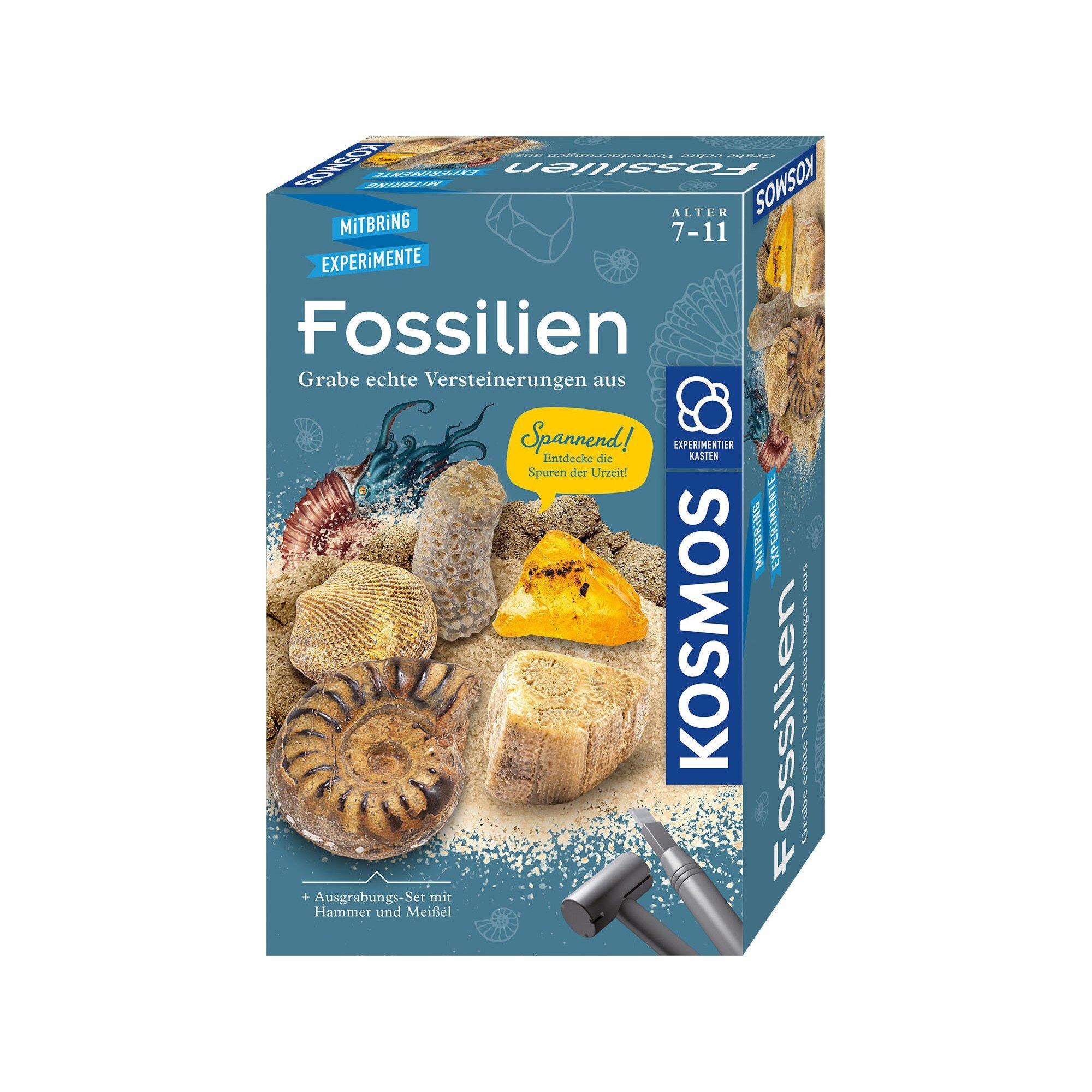 Kosmos  Fossilien-Ausgrabungs-Set 